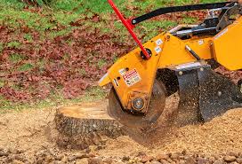  Glenmont, MD Tree Removal Pros