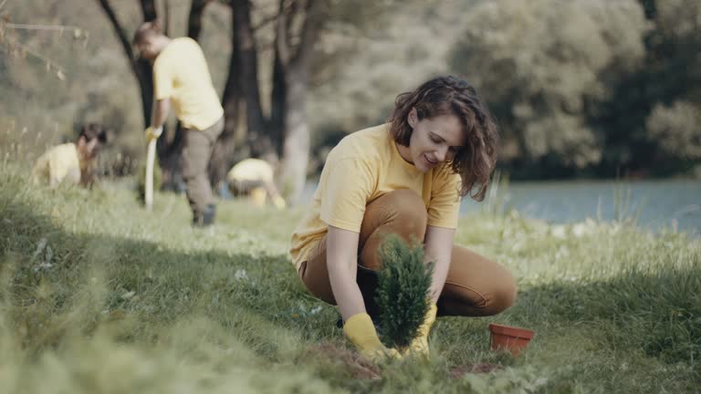 Best Soil Testing and Treatment  in Glenmont, MD