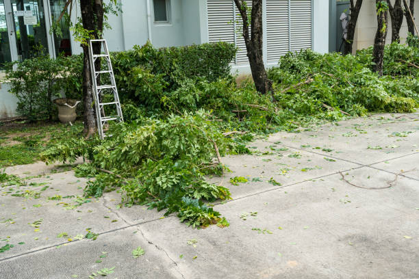 Best Commercial Tree Services  in Glenmont, MD